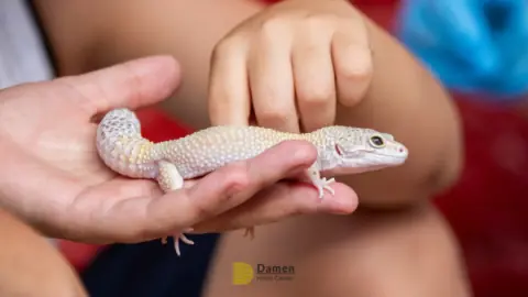 Eco Park Foz do Iguaçu: Vale a pena a vistia? Vamos te contar tudo aqui!