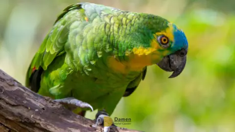 Eco Park Foz do Iguaçu: Vale a pena a vistia? Vamos te contar tudo aqui!