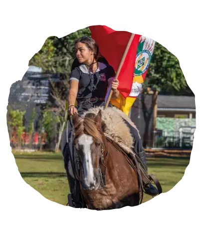 O Treinamento em Liberdade dos Cavalos